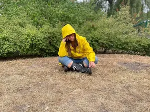 Person i gul regnjacka sitter på brunbränt gräs